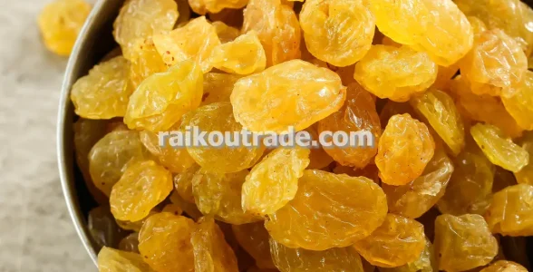 خرید کشمش پلویی زرد قلمی در تهران